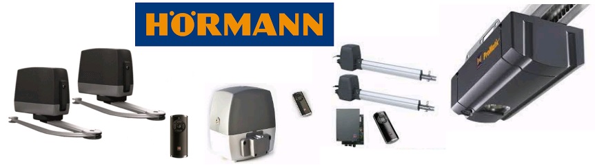 HermannLog1