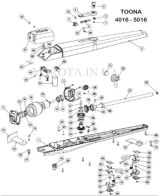 TOONA4016